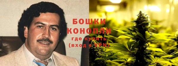 гидропоника Ростов